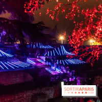 Lueurs de Mantes 2024, le parcours lumineux dans les Yvelines - photos -  A7C9144