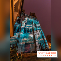 Lueurs de Mantes 2024, le parcours lumineux dans les Yvelines - photos -  A7C9179