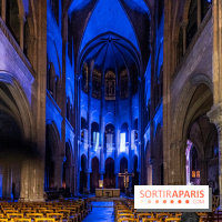 Lueurs de Mantes 2024, le parcours lumineux dans les Yvelines - photos