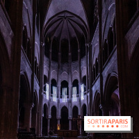 Lueurs de Mantes 2024, le parcours lumineux dans les Yvelines - photos -  A7C9193