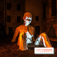 Lueurs de Mantes 2024, le parcours lumineux dans les Yvelines - photos