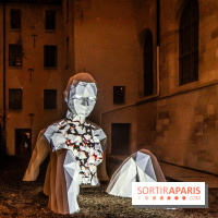 Lueurs de Mantes 2024, le parcours lumineux dans les Yvelines - photos -  A7C9224