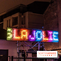 Lueurs de Mantes 2024, le parcours lumineux dans les Yvelines - photos -  A7C9238