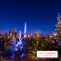 Le Marché de Noël de la Place de la Concorde à Paris -  A7C9428