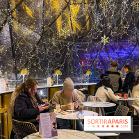 Noël 2024 à la tour Eiffel - image00003