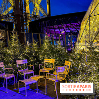 Noël 2024 à la tour Eiffel - image00018