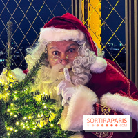 Noël 2024 à la tour Eiffel - image00030