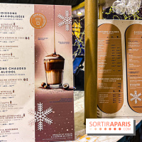 Noël 2024 à la tour Eiffel - image00044