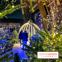 Noël 2024 à la tour Eiffel - image00050