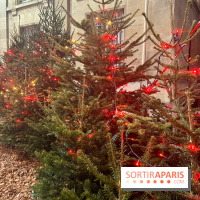 Bel Hiver Saint-Denis 2024 - nos photos - image00020