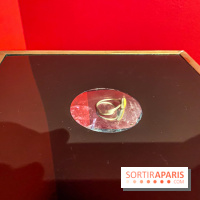 Exposition Magique ! au Musée de la Carte à jouer - IMG 2173