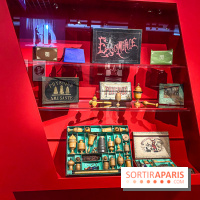 Exposition Magique ! au Musée de la Carte à jouer - IMG 2184