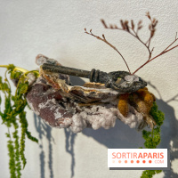 Le Musée d'Art et de Culture Soufis  - IMG 7939