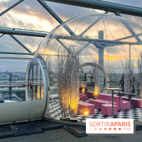 Bulle de rêves : la terrasse d'hiver du restaurant George au sommet du Centre Pompidou - 2