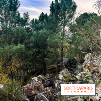 Les 25 bosses - photos - image00081