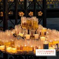 Notre-Dame de Paris - visuels - 2
