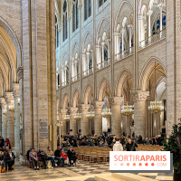 Notre-Dame de Paris - visuels - 2