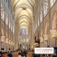 Notre-Dame de Paris - visuels - 2