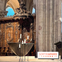 Notre-Dame de Paris - visuels - 2