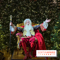 Le Parcours du Roi, la visite-spectacle de Noël 2024 du Château de Versailles - FullSizeRender 29