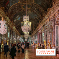 Le Parcours du Roi, la visite-spectacle de Noël 2024 du Château de Versailles - FullSizeRender 36