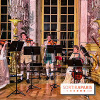 Le Parcours du Roi, la visite-spectacle de Noël 2024 du Château de Versailles - IMG 6220 jpg 2