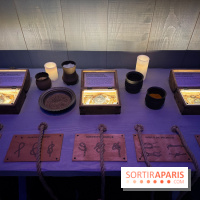 Cité Immersive Viking