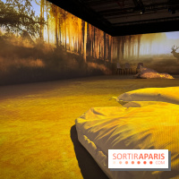 Cité Immersive Viking  - IMG 5335