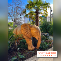 Square de la Jungle - nos photos