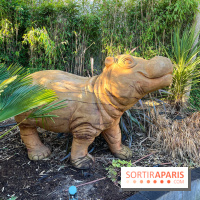 Square de la Jungle - nos photos - image00010