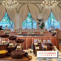 Les Lumières, l'hôtel 5* près du Château de Versailles  - image00080