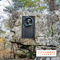 Randonnée à Fontainebleau : le sentier sur les pas de Denecourt jusqu’à la Tour Denecourt