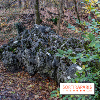 Randonnée à Fontainebleau : le sentier sur les pas de Denecourt jusqu’à la Tour Denecourt -  A7C7571