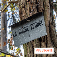 Randonnée à Fontainebleau : le sentier sur les pas de Denecourt jusqu’à la Tour Denecourt -  A7C7572