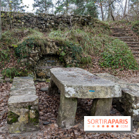 Randonnée à Fontainebleau : le sentier sur les pas de Denecourt jusqu’à la Tour Denecourt -  A7C7583