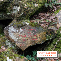 Randonnée à Fontainebleau : le sentier sur les pas de Denecourt jusqu’à la Tour Denecourt -  A7C7590