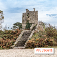 Randonnée à Fontainebleau : le sentier sur les pas de Denecourt jusqu’à la Tour Denecourt