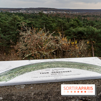 Randonnée à Fontainebleau : le sentier sur les pas de Denecourt jusqu’à la Tour Denecourt -  A7C7612