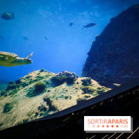 La Géode 2025 - IMG 8543 jpg