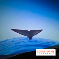 La Géode 2025 - IMG 8581 jpg