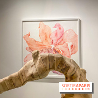 Exposition Belladone de Tatiana Wolska au Drawing Lab - IMG 2353