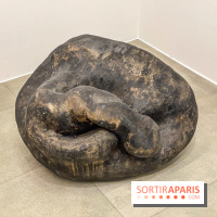 Exposition Belladone de Tatiana Wolska au Drawing Lab - IMG 2356