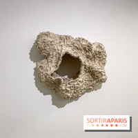 Exposition Belladone de Tatiana Wolska au Drawing Lab - IMG 2358