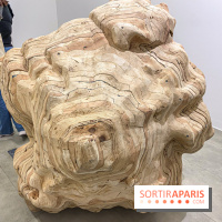 Exposition Belladone de Tatiana Wolska au Drawing Lab - IMG 2364