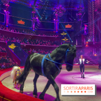 Spectaculaire - Cirque d'hiver