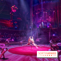 Spectaculaire - Cirque d'hiver