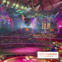 Spectaculaire - Cirque d'hiver