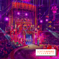 Spectaculaire - Cirque d'hiver - IMG 8569