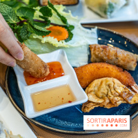 Chez An - Au coin du Vietnam, restaurant vietnamien du 14e à Paris -  nems - assortiment frit