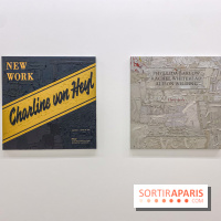 Clear History : l'exposition gratuite d'Oli Epp à la galerie Perrotin - IMG 2703